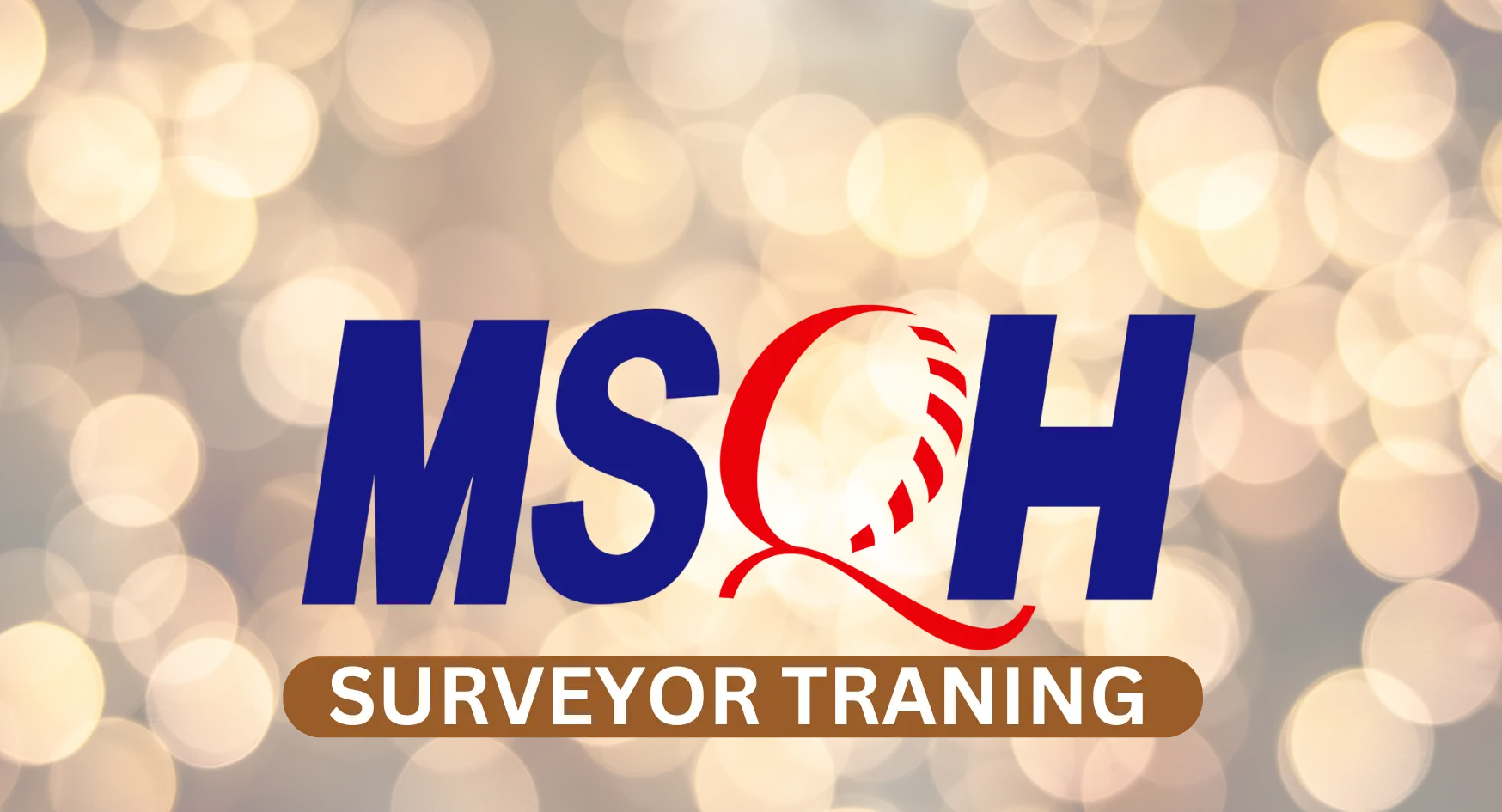 MSQH Surveyor Training
