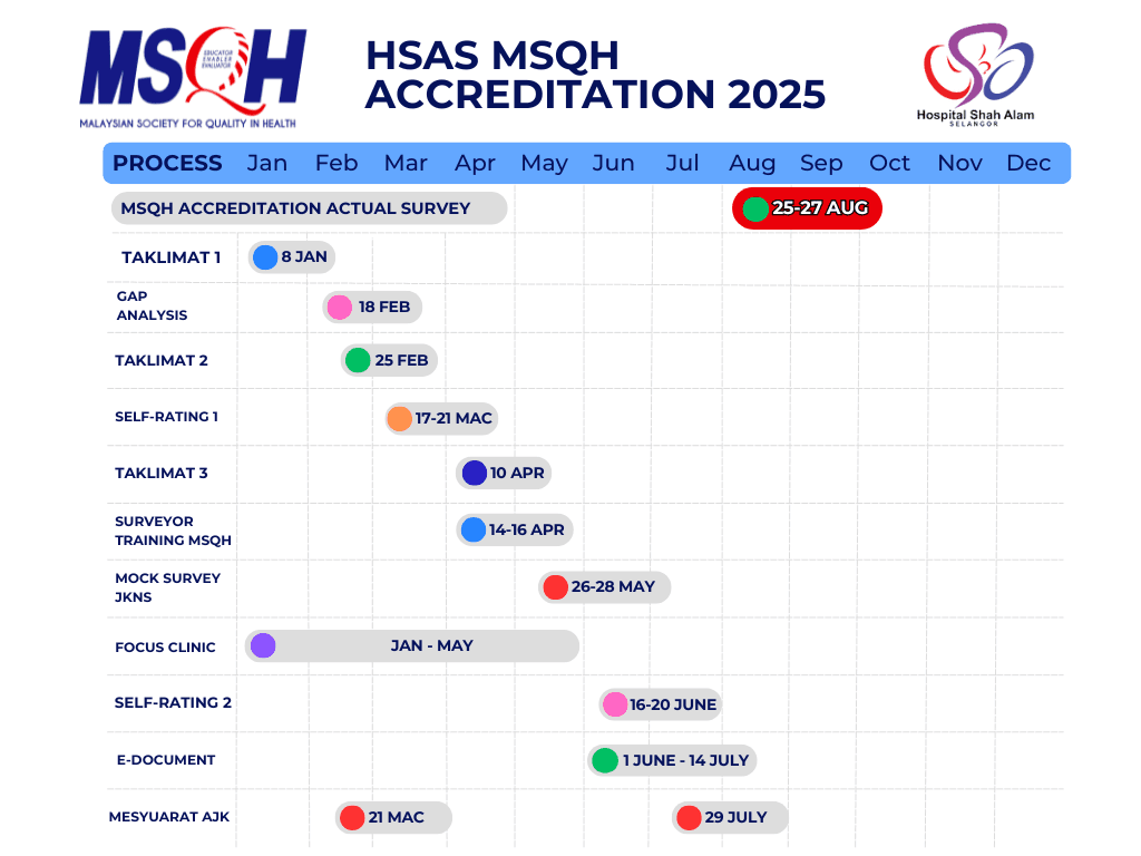 HSAS MSQH Gantt Chart